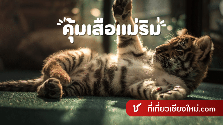 คุ้มเสือแม่ริม