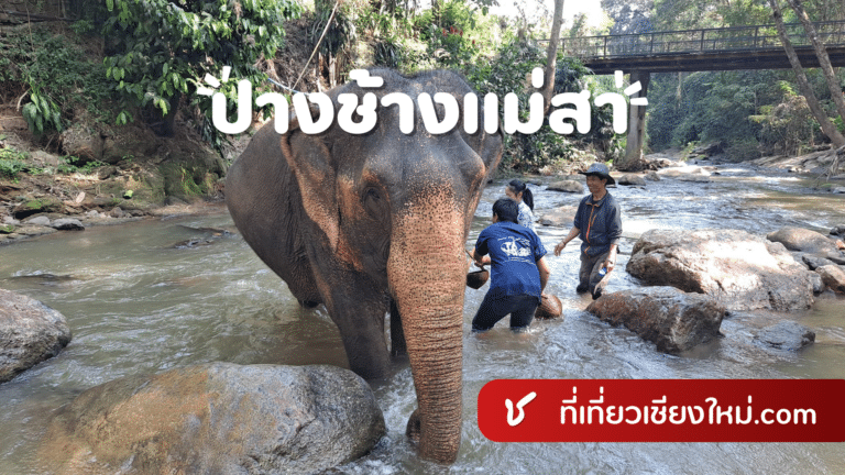 ปางช้างแม่สา เชียงใหม่