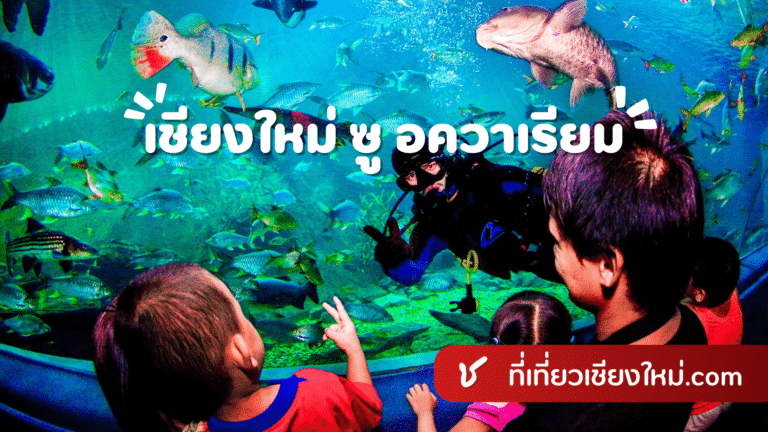 เชียงใหม่ ซู อควาเรียม