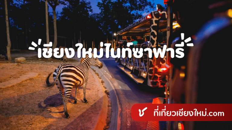 เชียงใหม่ไนท์ซาฟารี เชียงใหม่